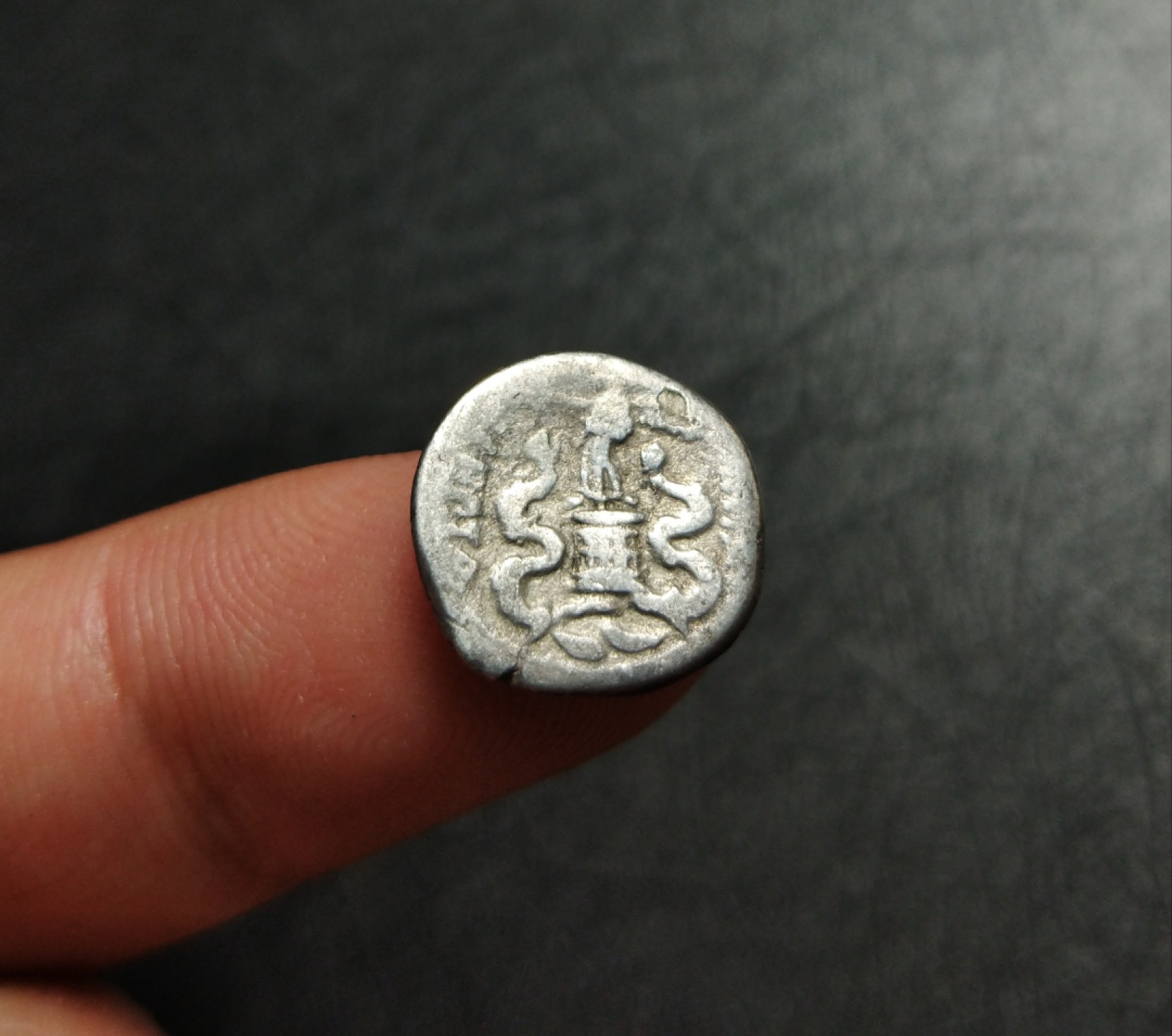 【古罗马币】屋大维蛇篮与胜利女神奎纳里银币 