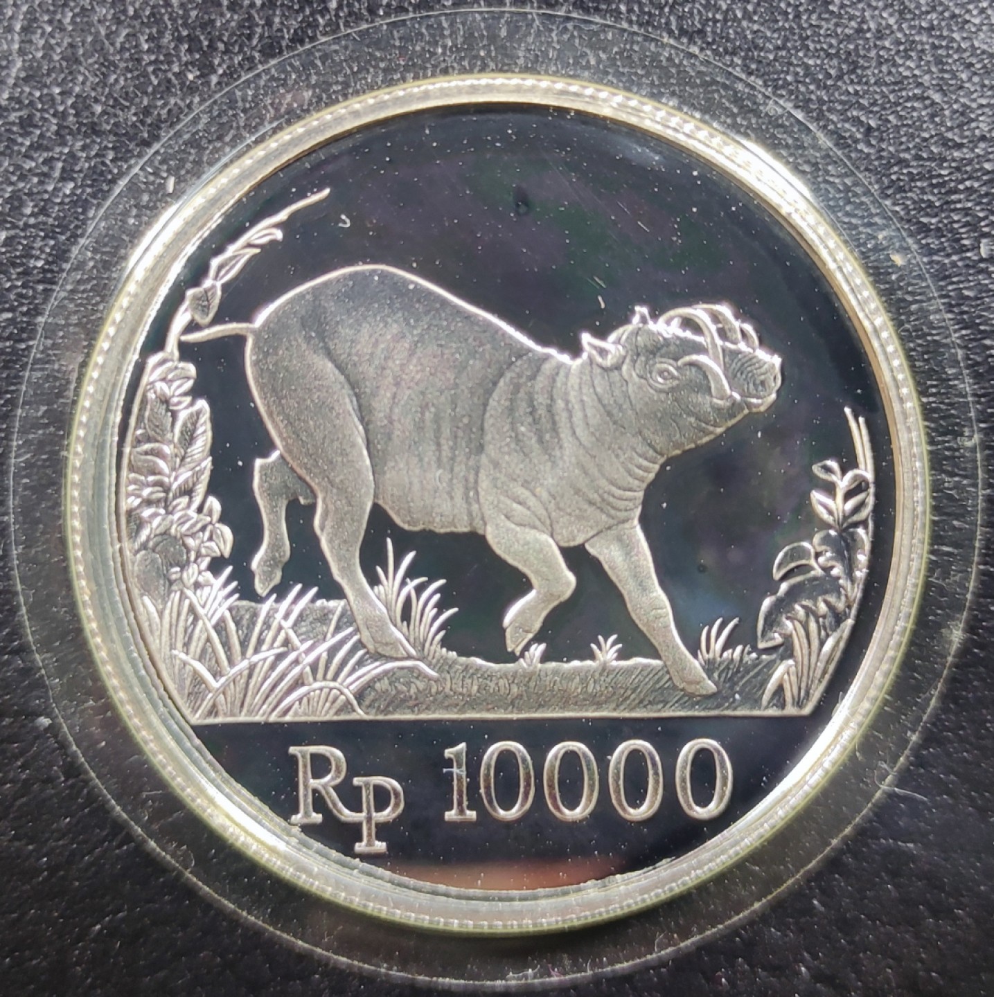 巴斯克收藏 世界硬币第13期 原装少见套币、纪念币专场 全场包邮 24/25/26号0元起三连拍