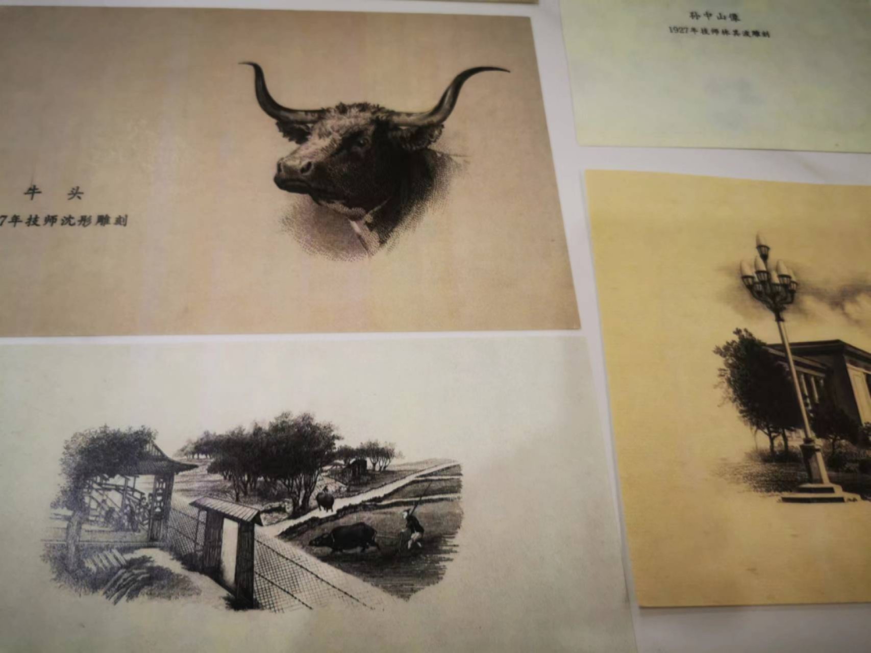 8.【鲸贝乐淘★道德经】“玄之又玄，众妙之门”号拍卖