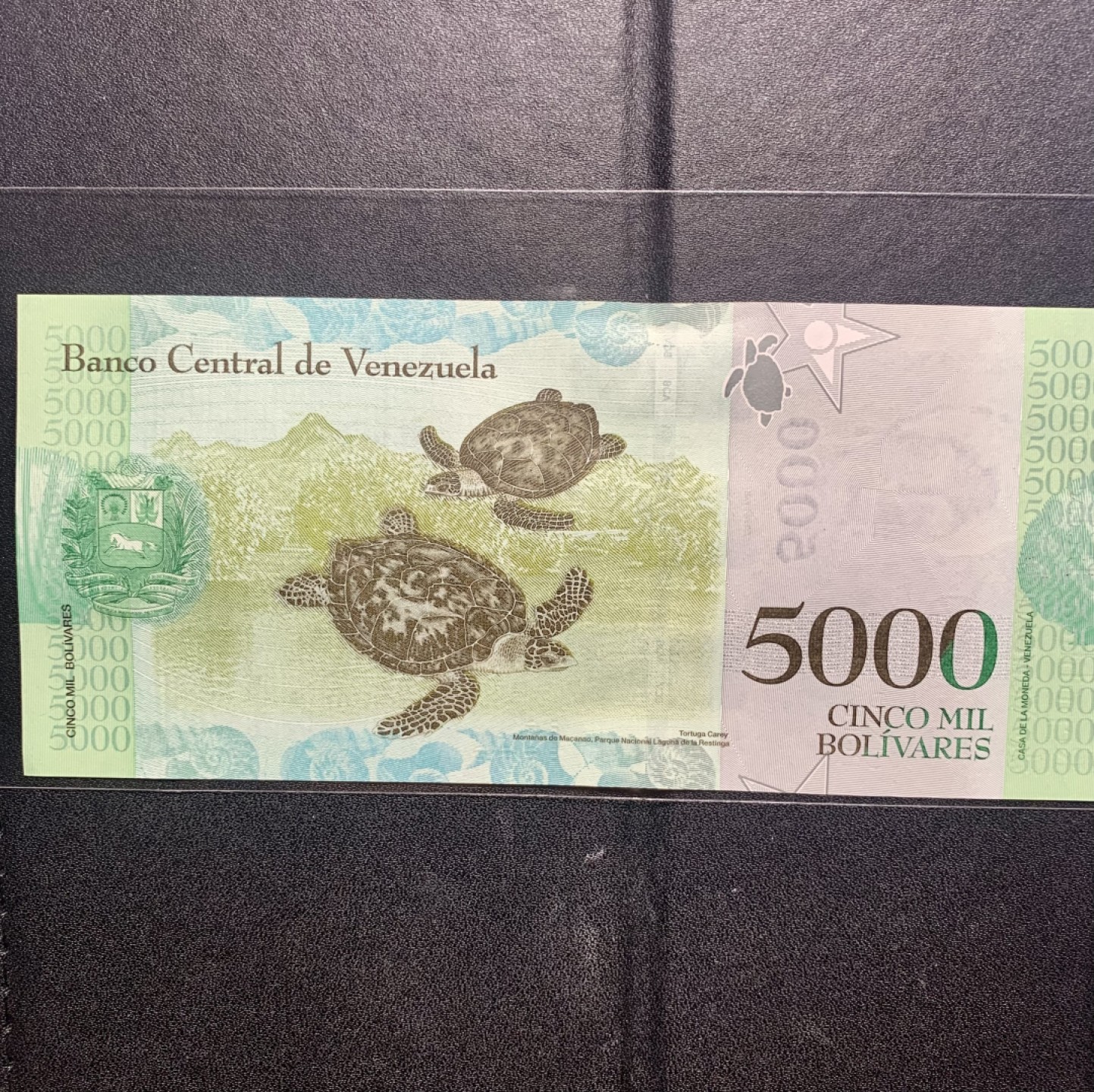 北极狼收藏12$ 委内瑞拉5000玻利瓦尔 