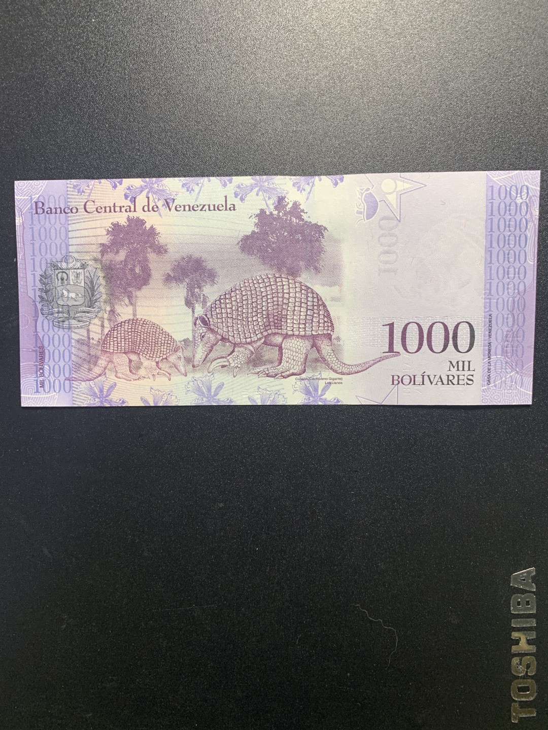 北极狼收藏5$ 委内瑞拉1000玻利瓦尔 