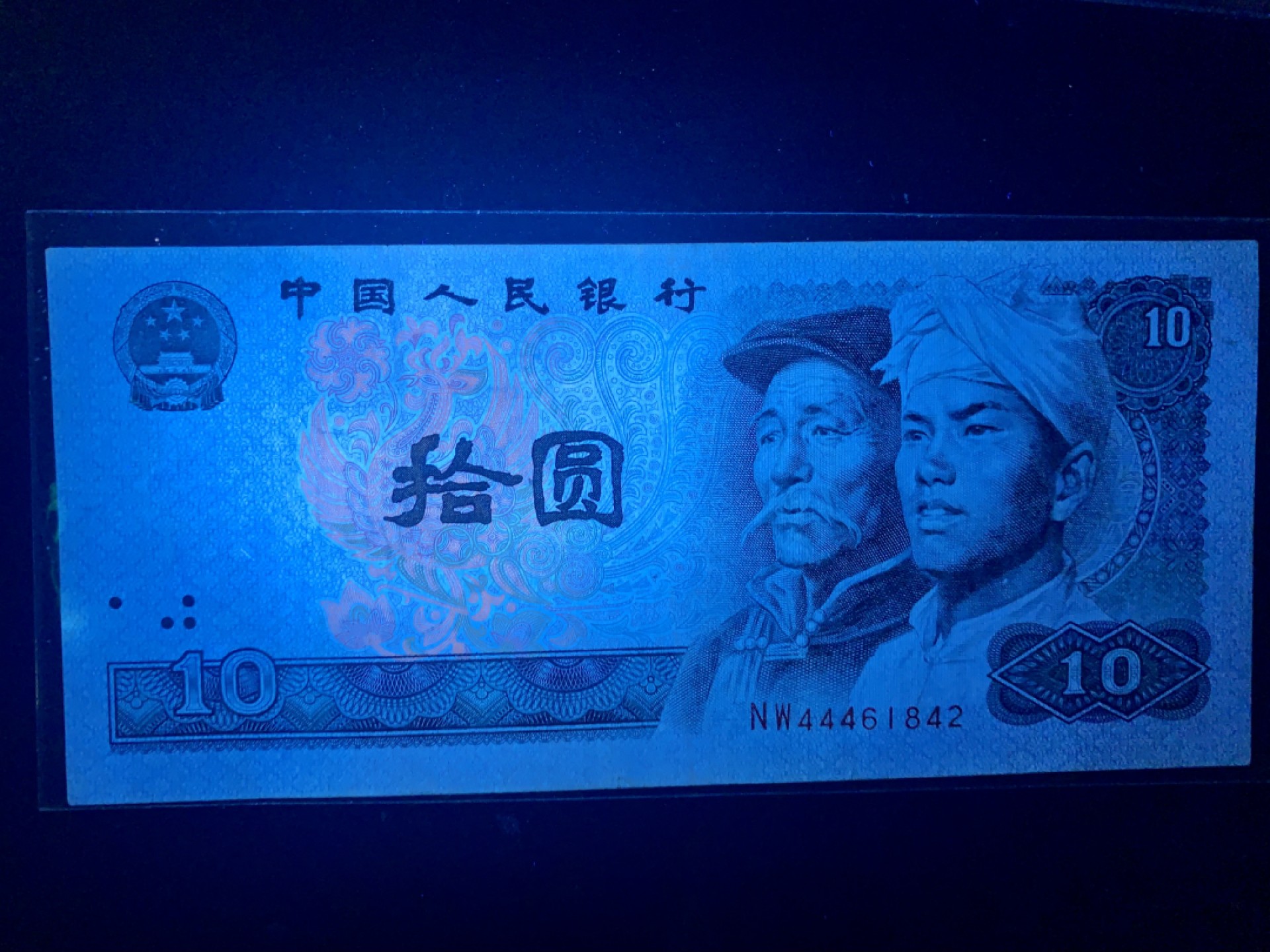 北极狼收藏9$ 豹子身拾元人民币