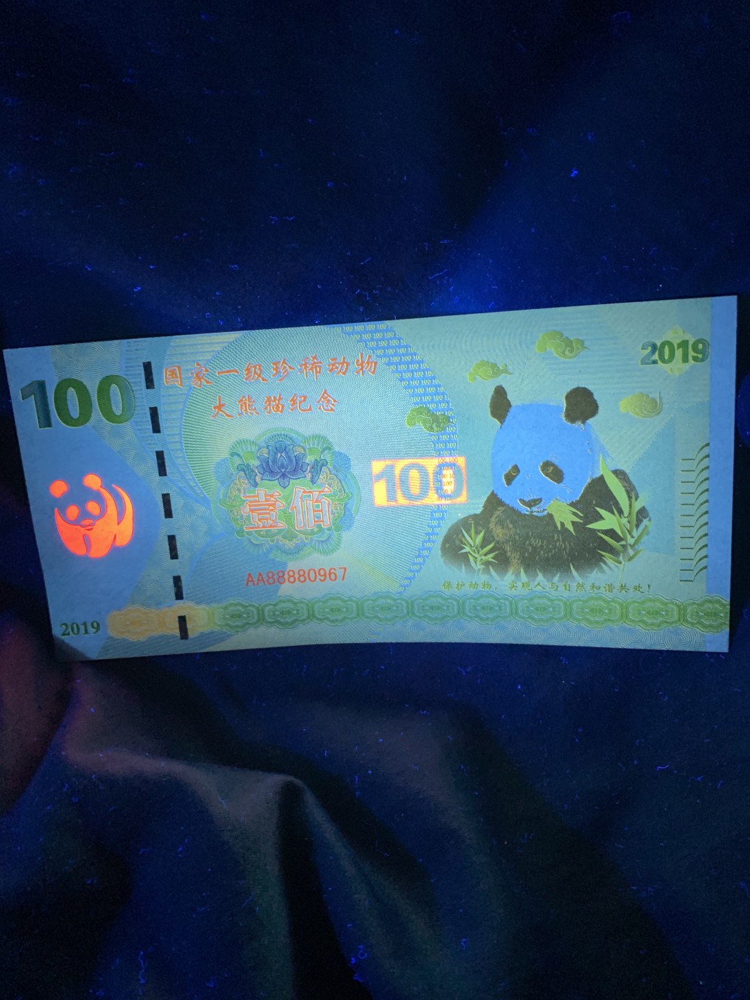 北极狼收藏3$ 国家一级珍稀动物大熊猫纪念