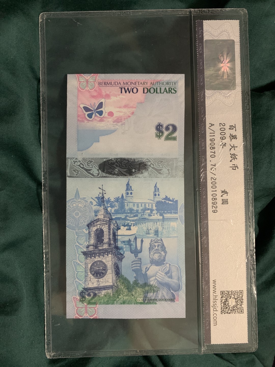 北极狼收藏1$ 百慕大蓝鸟币