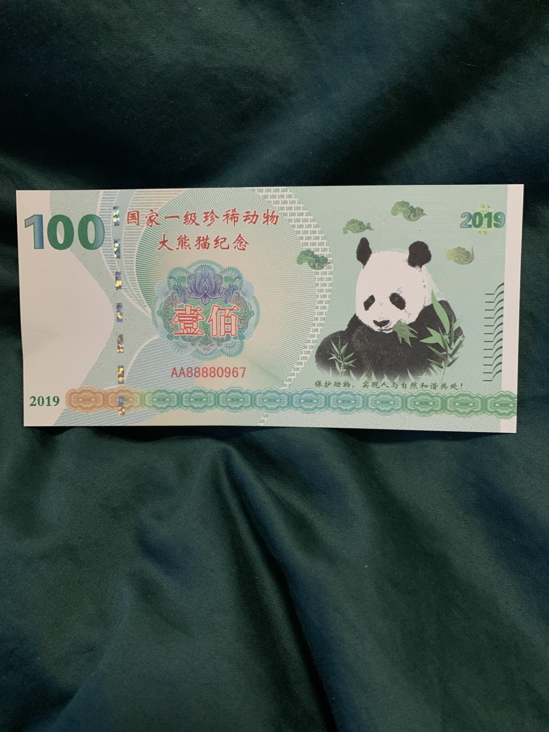 北极狼收藏3$ 国家一级珍稀动物大熊猫纪念