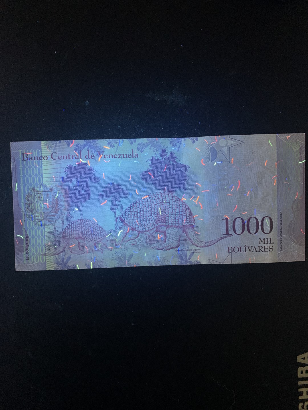 北极狼收藏5$ 委内瑞拉1000玻利瓦尔 