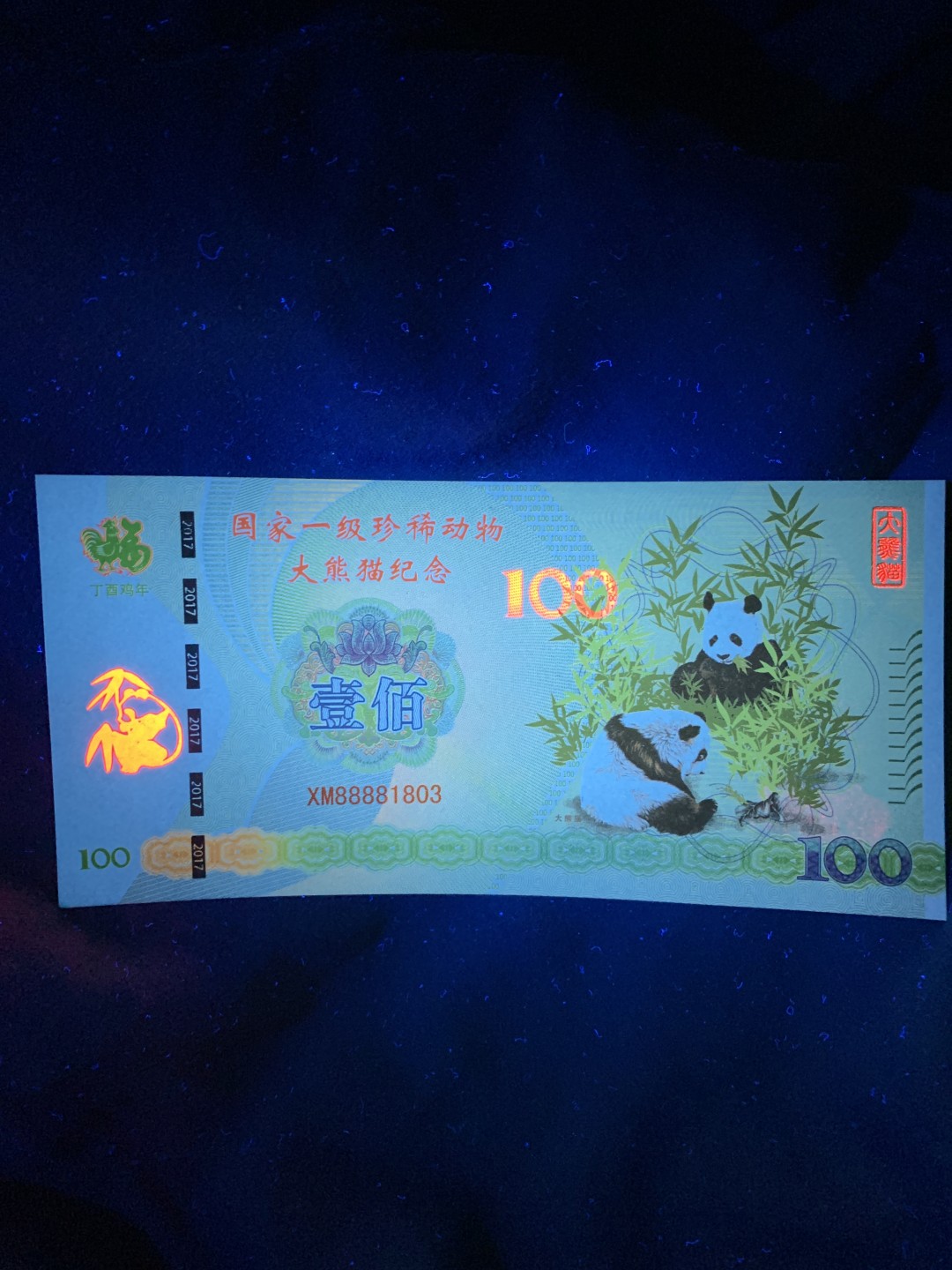 北极狼收藏3$ 国家一级珍稀动物大熊猫纪念