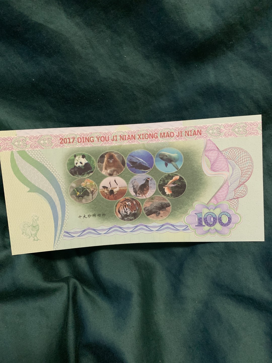 北极狼收藏3$ 国家一级珍稀动物大熊猫纪念