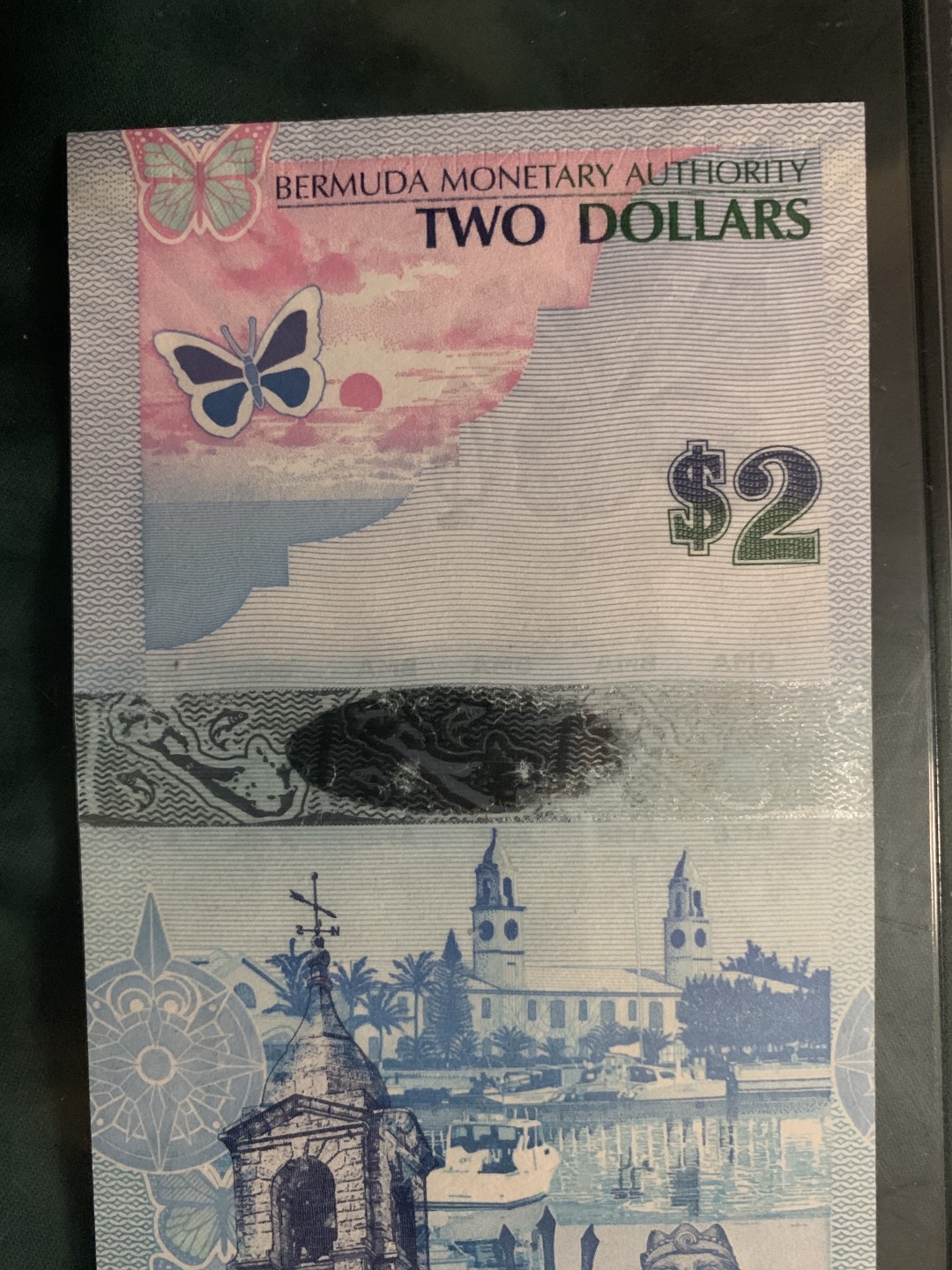 北极狼收藏1$ 百慕大蓝鸟币