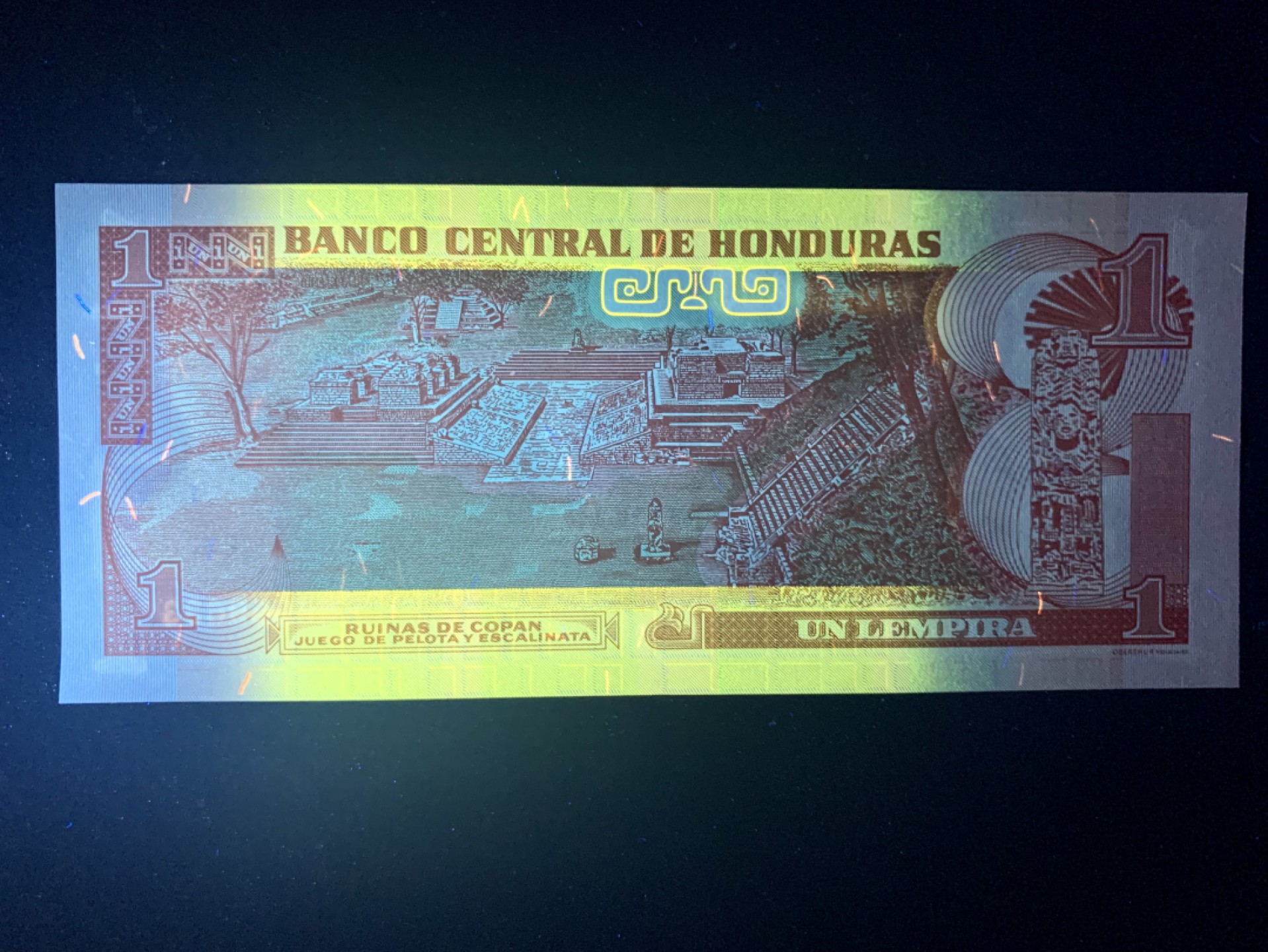 北极狼收藏12$ 洪都拉斯1伦皮拉