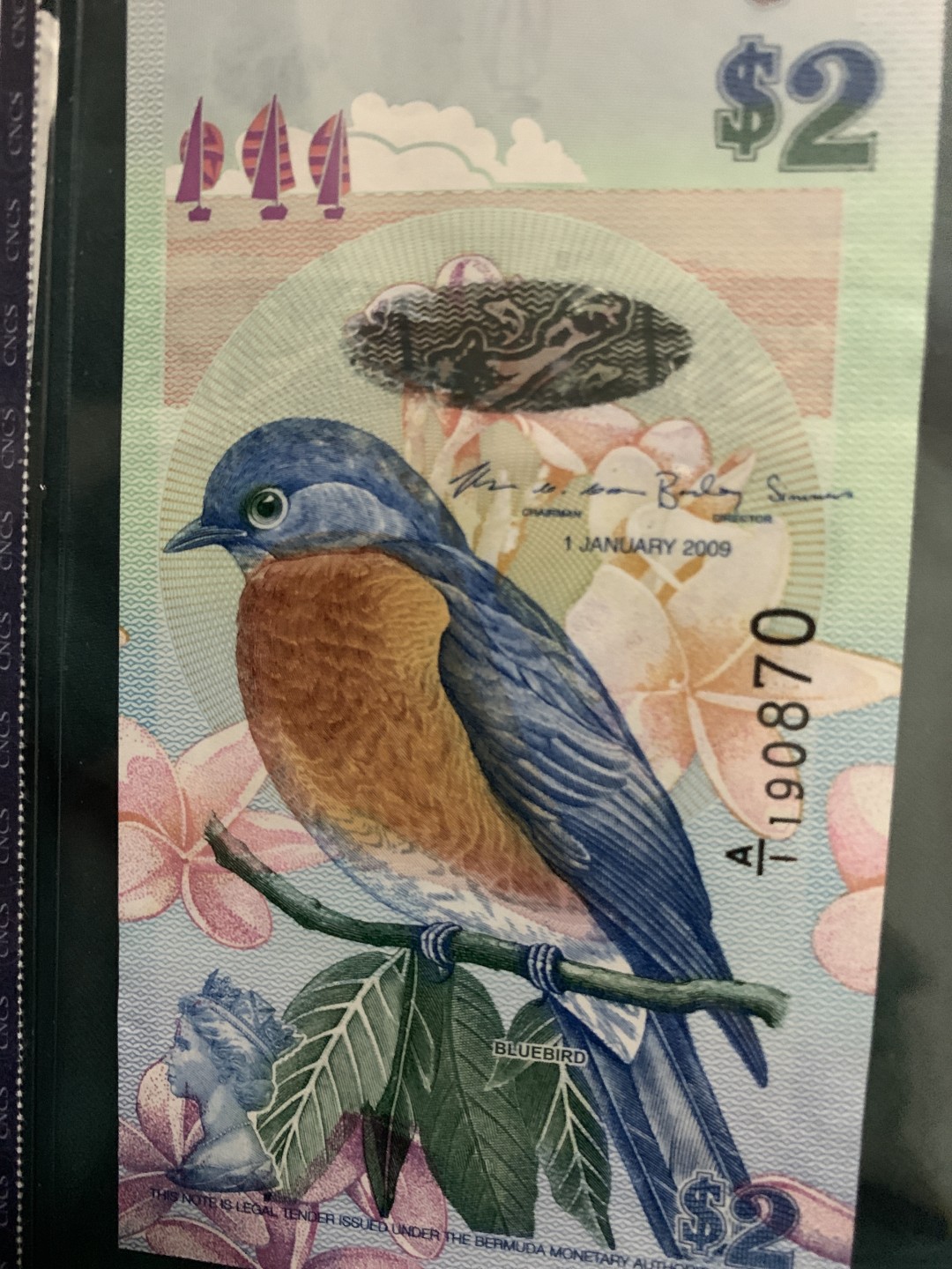 北极狼收藏1$ 百慕大蓝鸟币