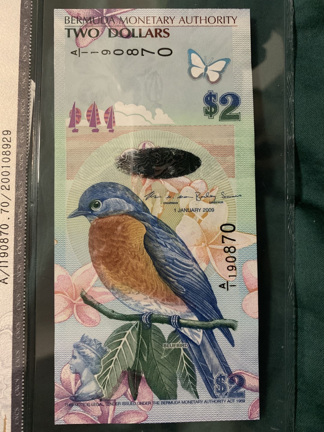 北极狼收藏1$ 百慕大蓝鸟币