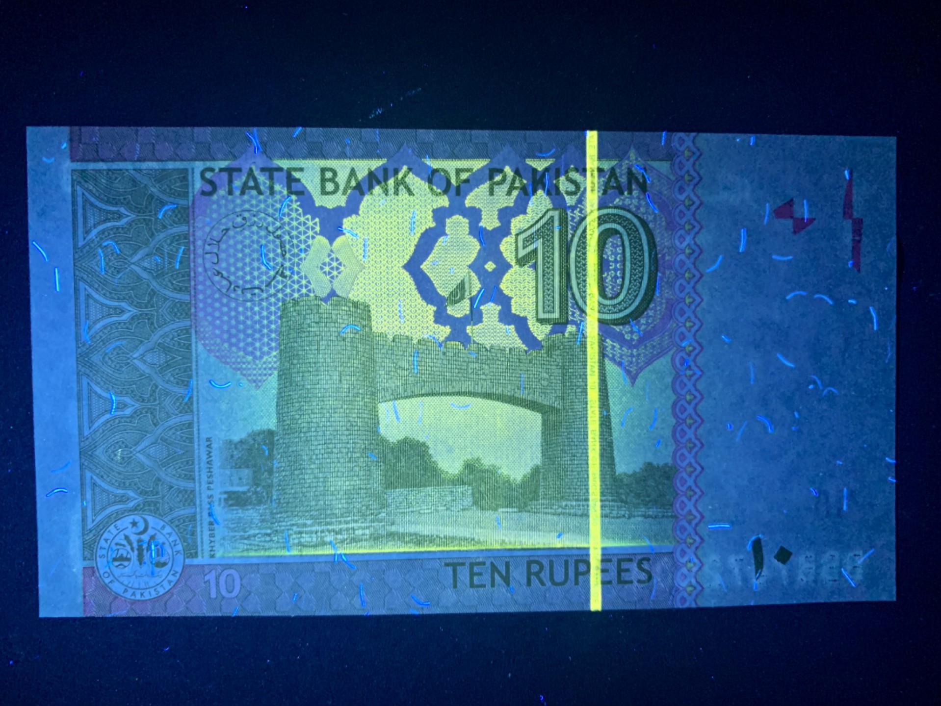 北极狼收藏4$ 巴基斯坦10卢比 纸币 2016年版 