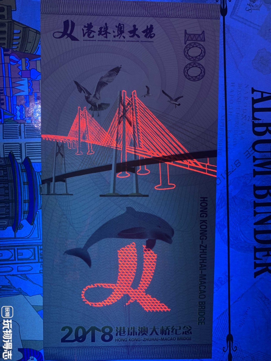 北极狼藏苑社捡漏专场. 港珠澳大桥