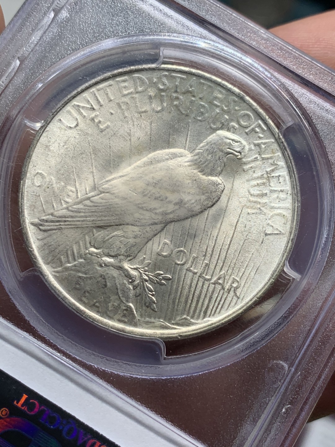 《竞宝斋》第59场-本周日，周一2场连拍（全场不限金额包邮） PCGS MS63 美国 1923年 和平银币 光感好 清爽干净 状态舒服 正反面盒子支撑点有磕 详细见图