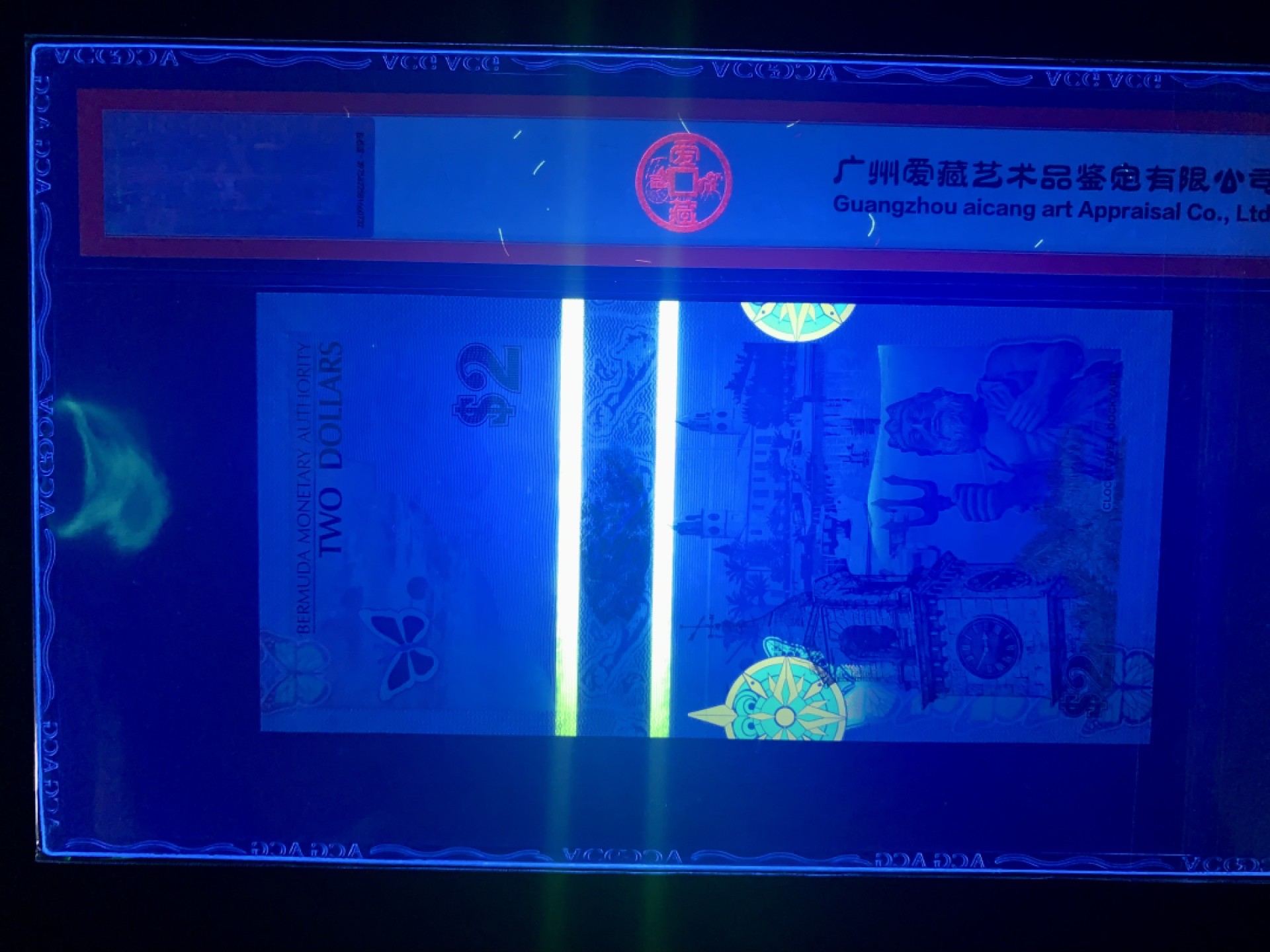 纸币专场 百幕大蓝鸟币