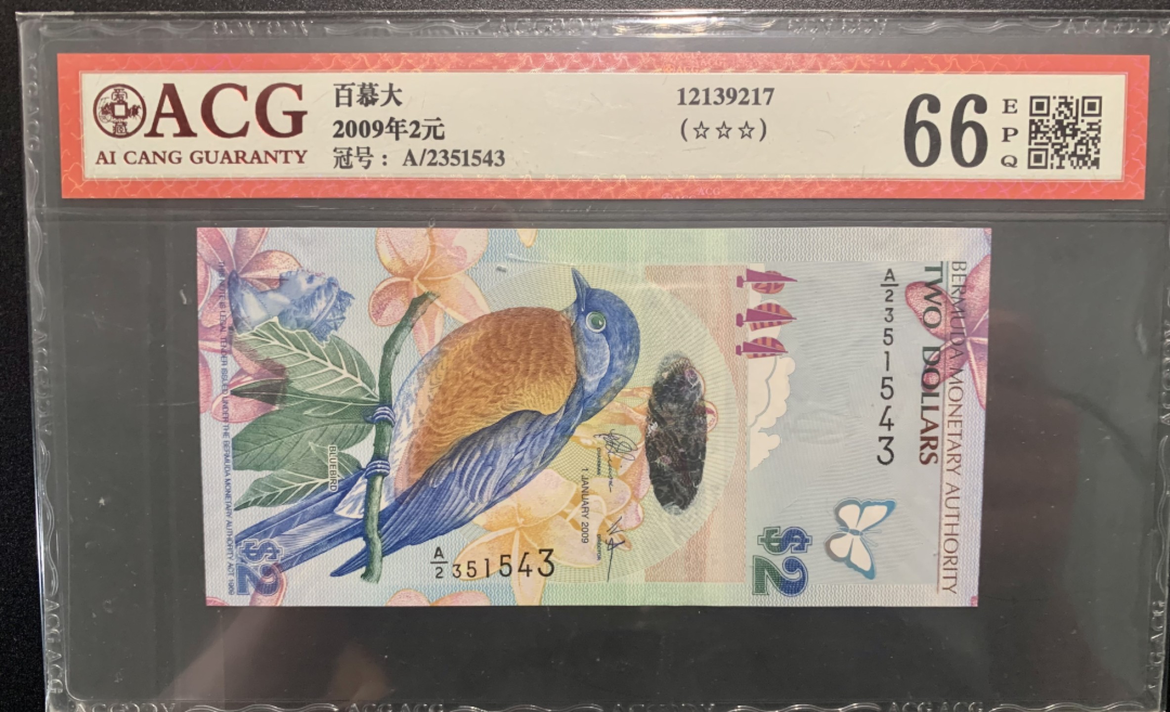 纸币专场 百幕大蓝鸟币