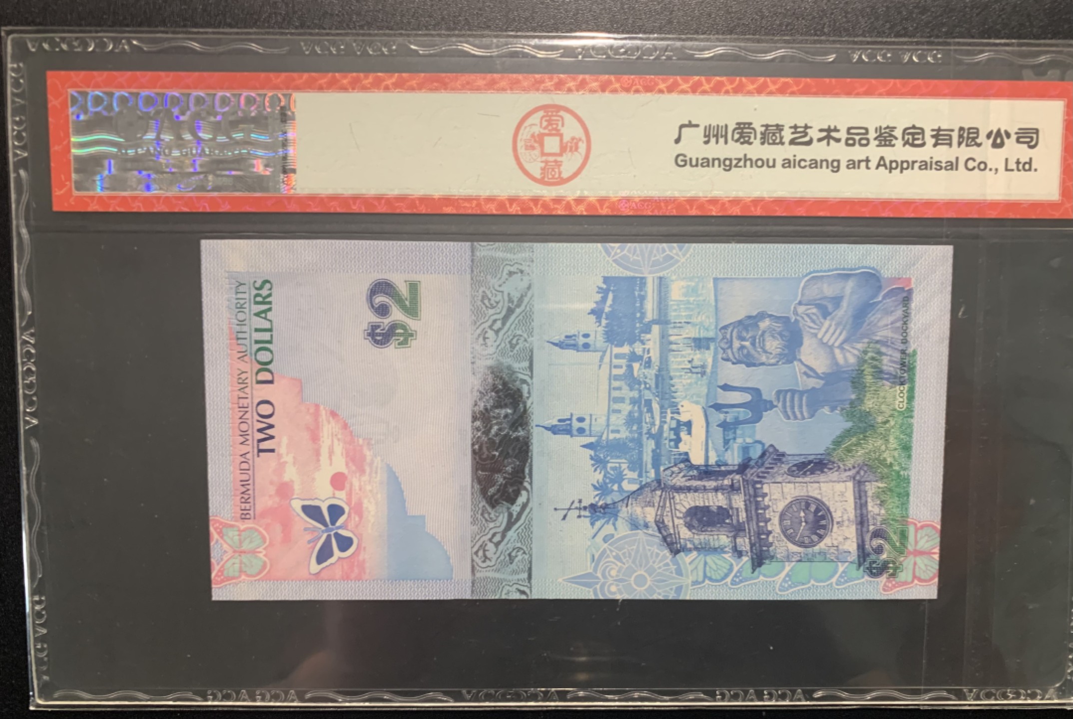 纸币专场 百幕大蓝鸟币