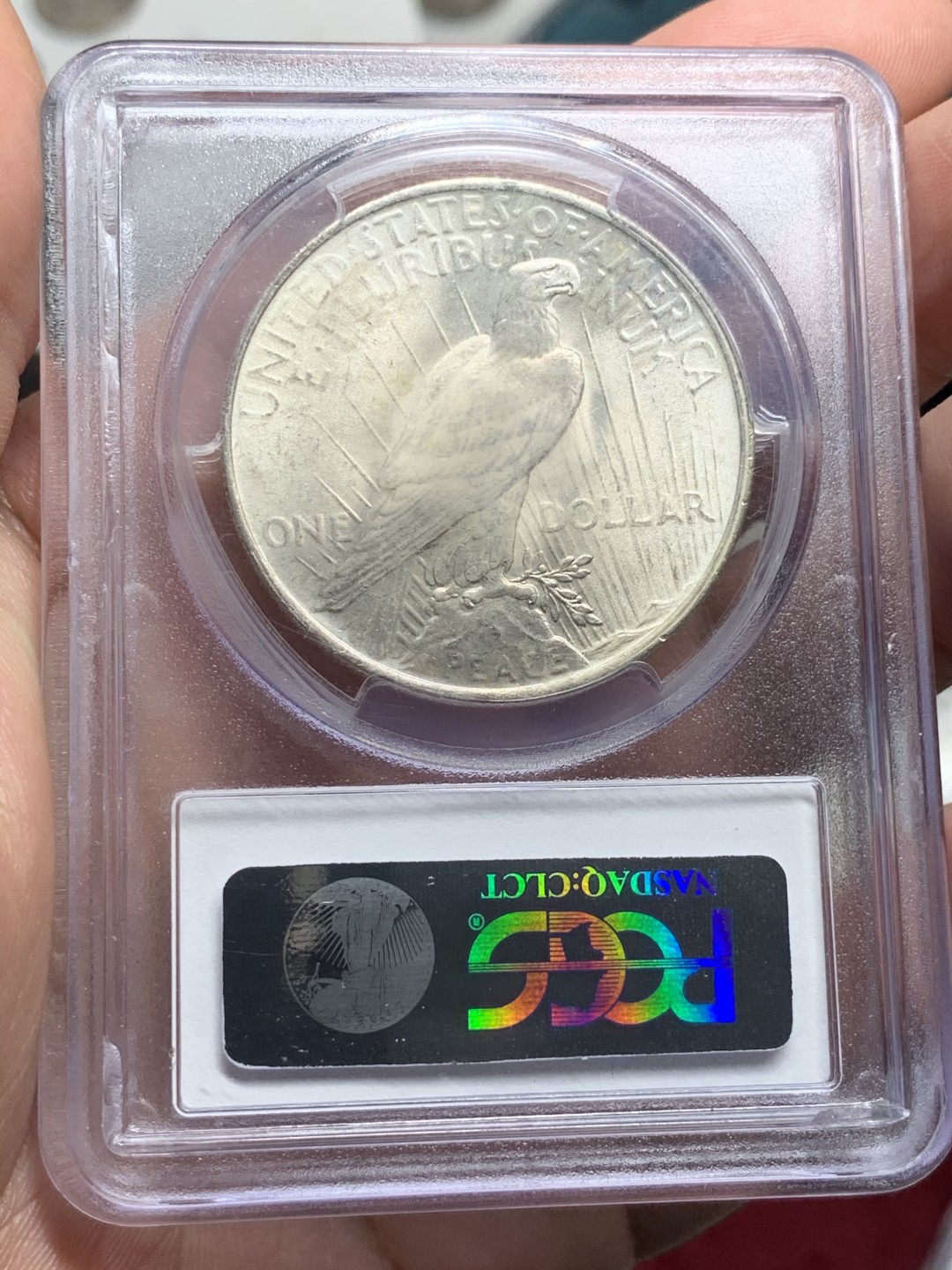 《竞宝斋》第59场-本周日，周一2场连拍（全场不限金额包邮） PCGS MS63 美国 1923年 和平银币 光感好 清爽干净 状态舒服 正反面盒子支撑点有磕 详细见图