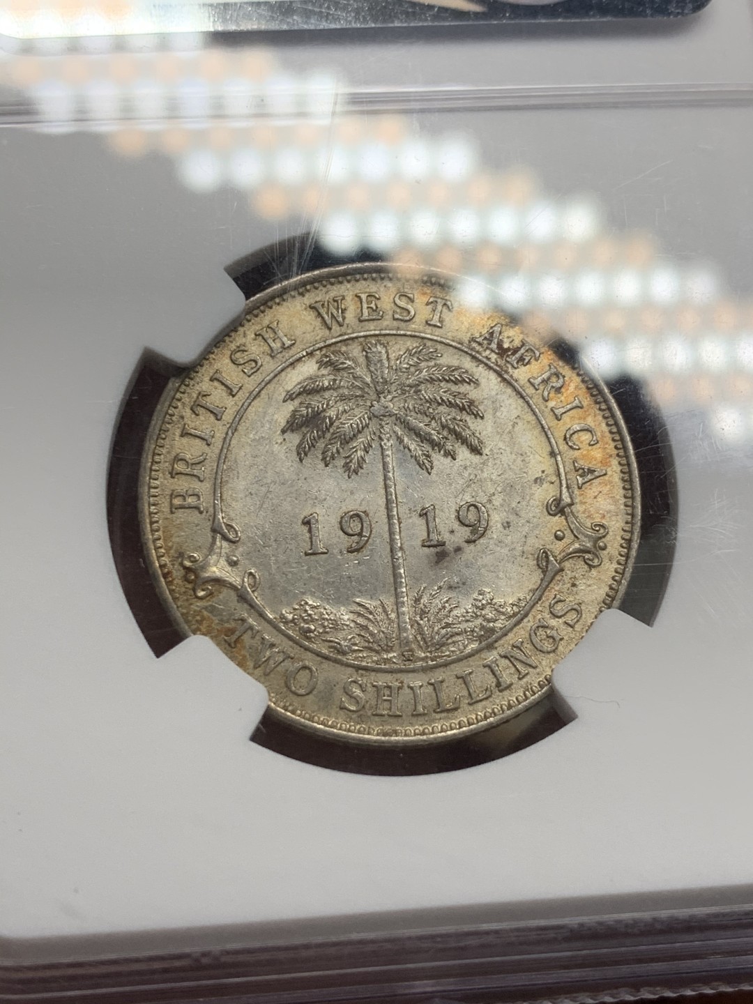 《竞宝斋》第59场-本周日，周一2场连拍（全场不限金额包邮） NGC MS61 1919年英属西非2先令银币 少见品种，喜敦版，黄油包浆