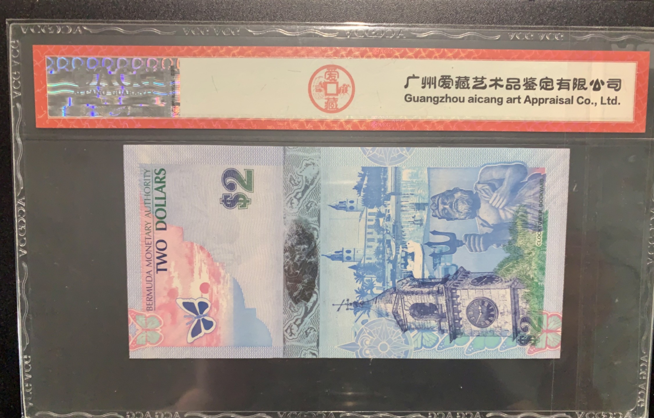 纸币专场 百幕大蓝鸟币