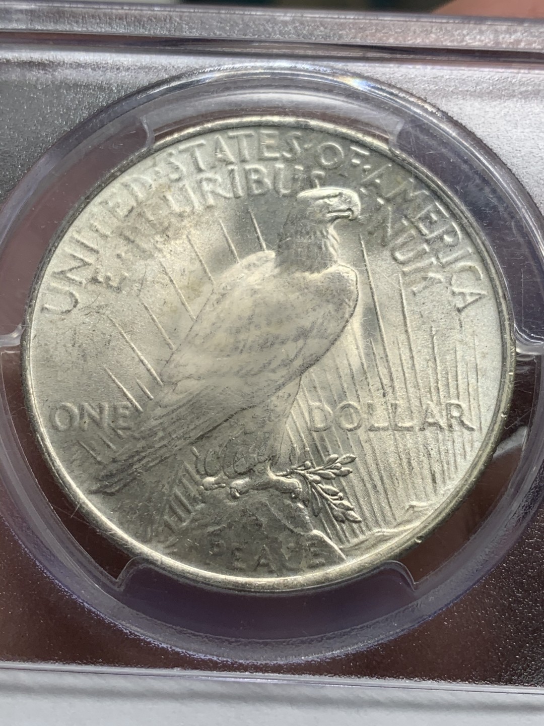 《竞宝斋》第59场-本周日，周一2场连拍（全场不限金额包邮） PCGS MS63 美国 1923年 和平银币 光感好 清爽干净 状态舒服 正反面盒子支撑点有磕 详细见图