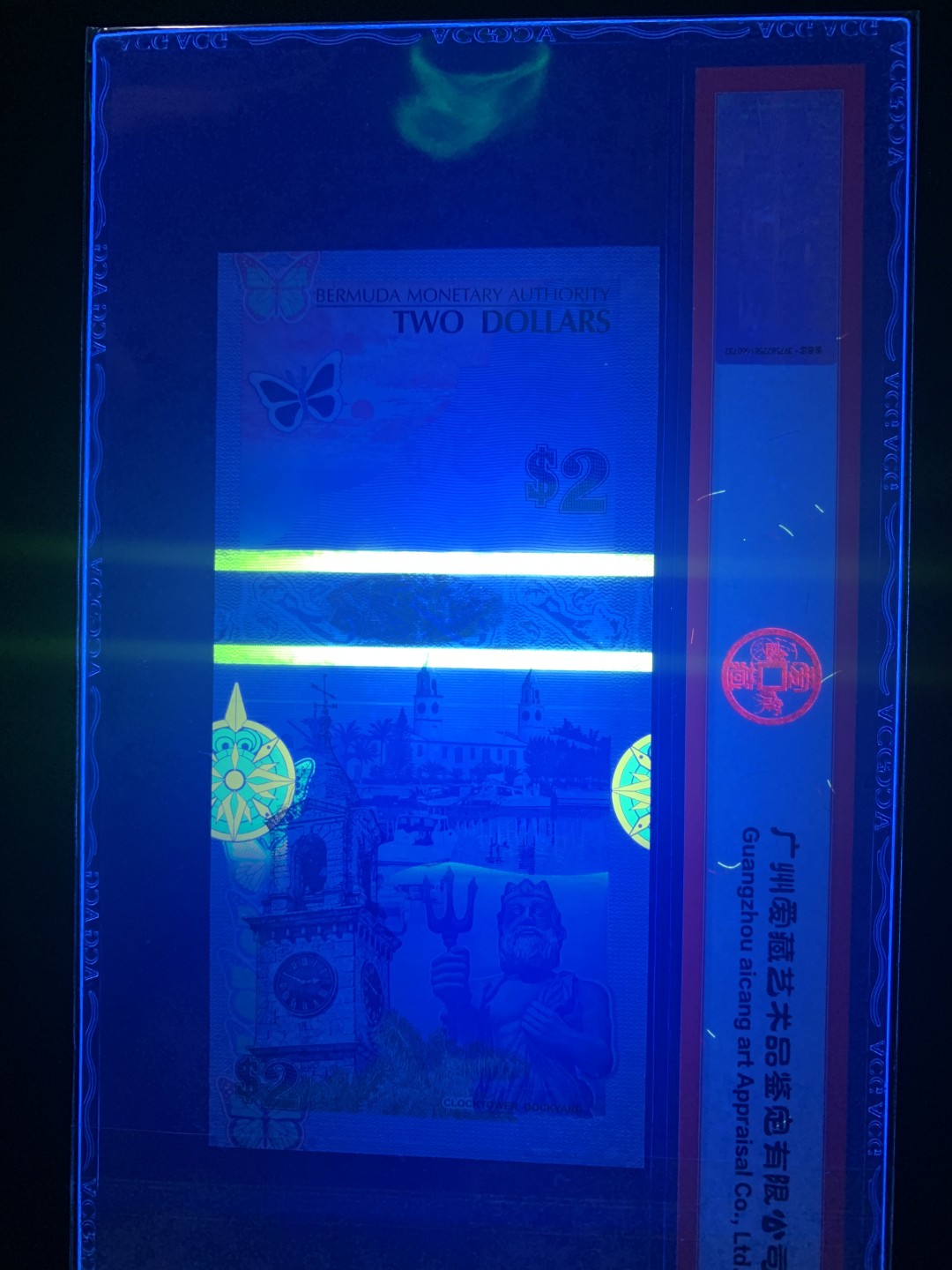 纸币专场 百幕大蓝鸟币