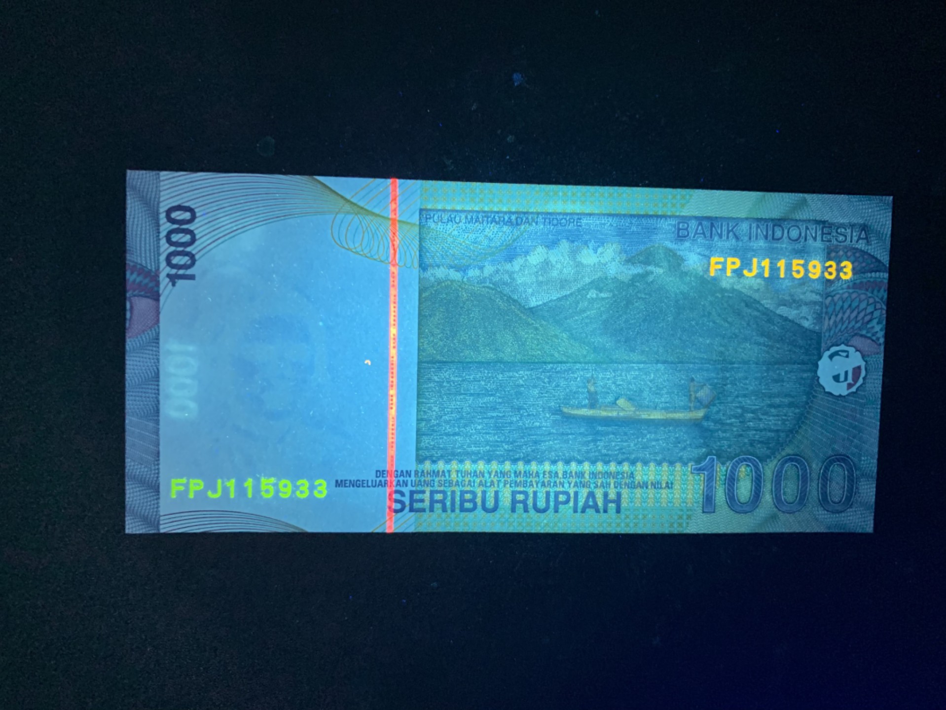 北极狼藏苑社捡漏专场.