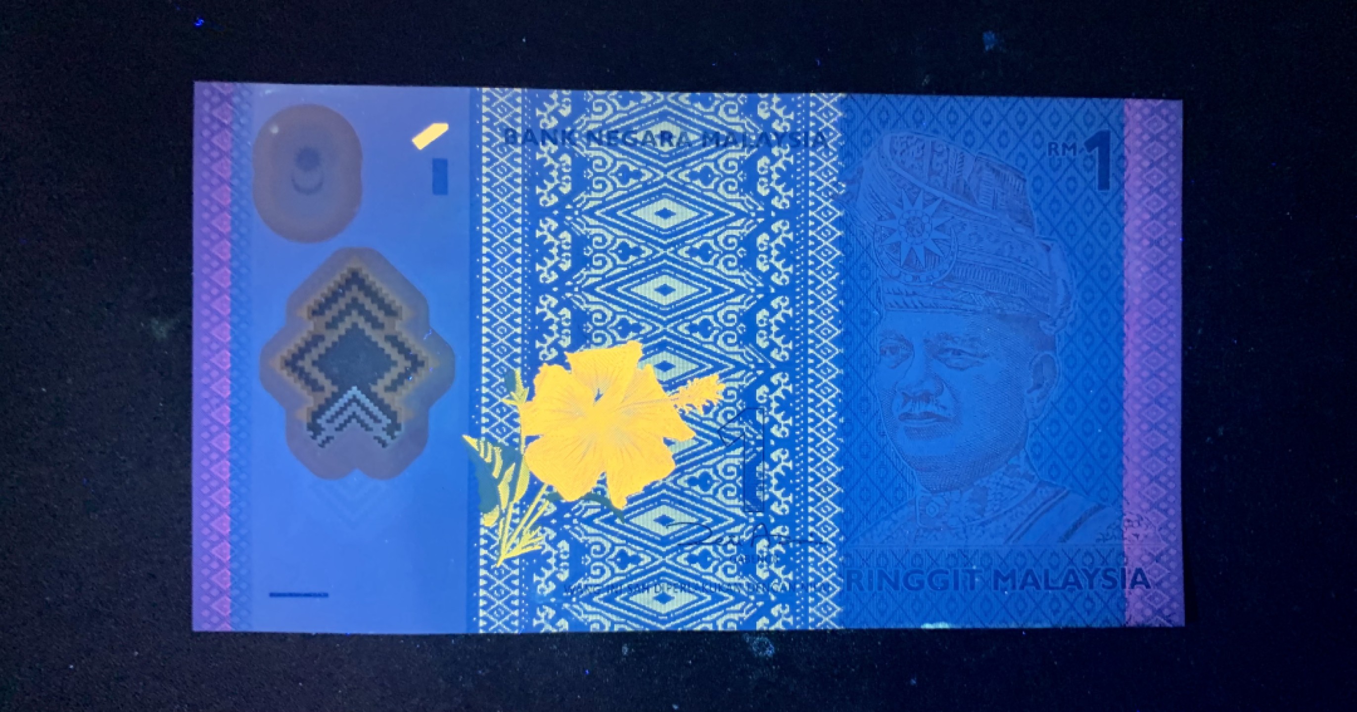 北极狼藏苑社捡漏专场.