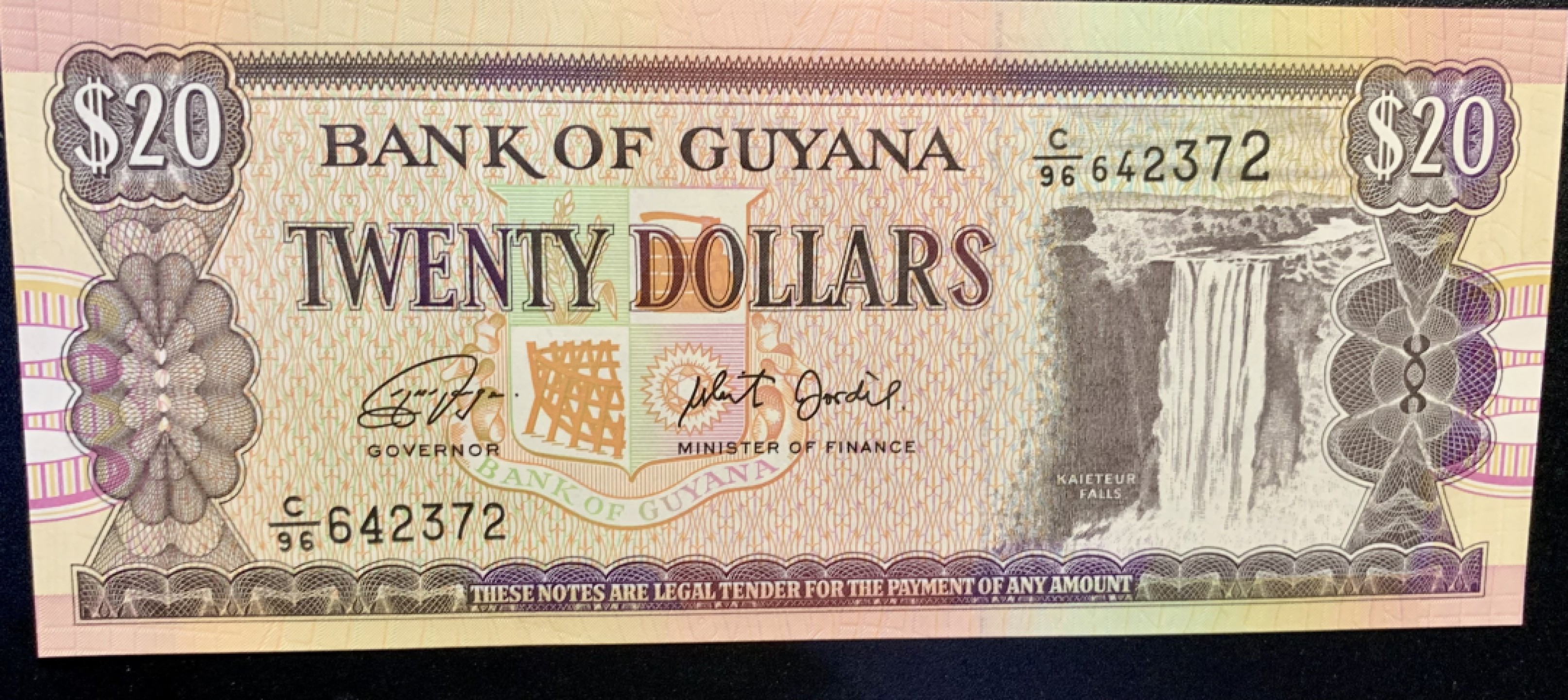 北极狼藏苑社捡漏专场.