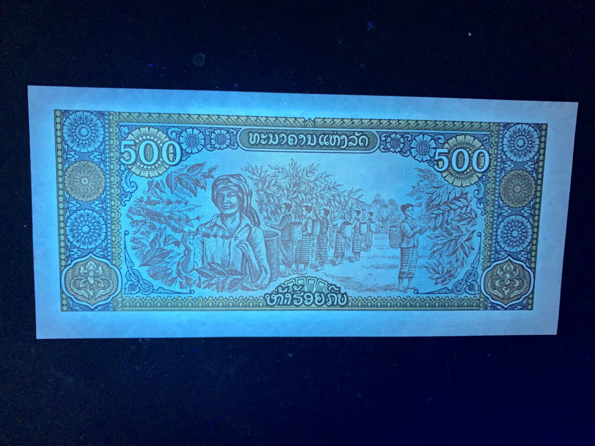 北极狼藏苑社捡漏专场. 老挝500基普Kip