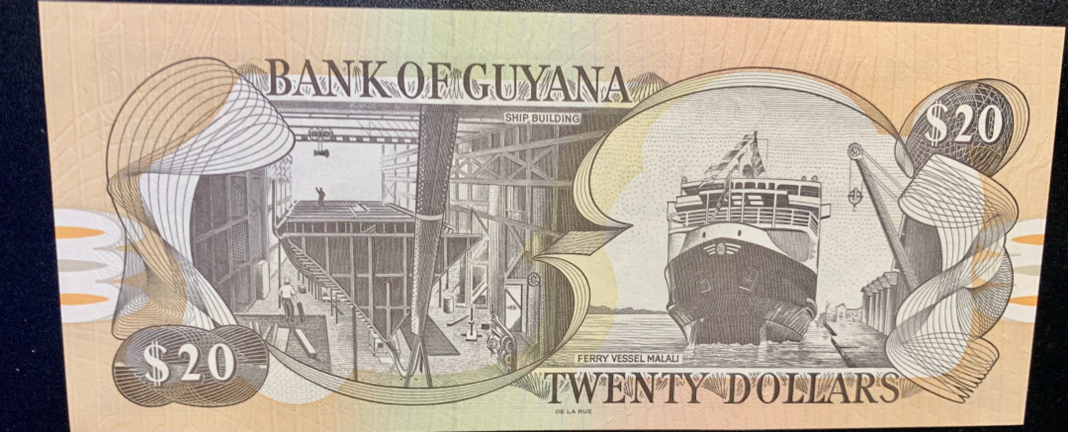 北极狼藏苑社捡漏专场.