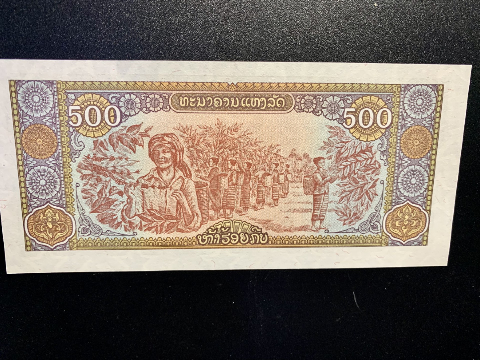 北极狼藏苑社捡漏专场.