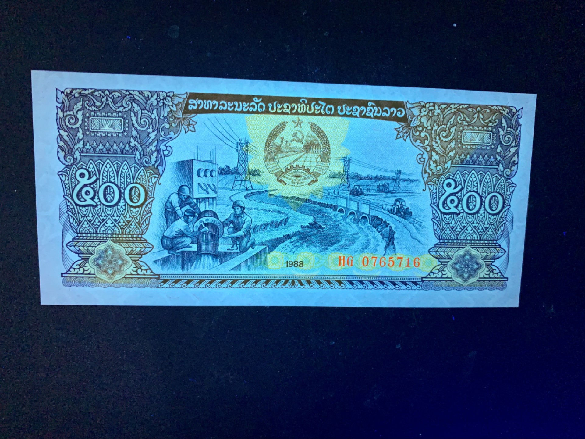 北极狼藏苑社捡漏专场.