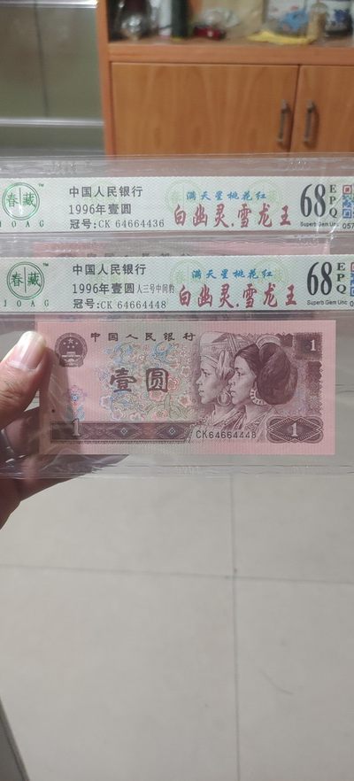 961满天星，桃花红，白幽灵雪龙王2张 - 961满天星，桃花红，白幽灵雪龙王2张