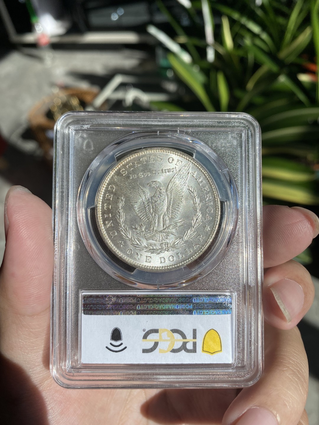 PCGS摩根银币64分
