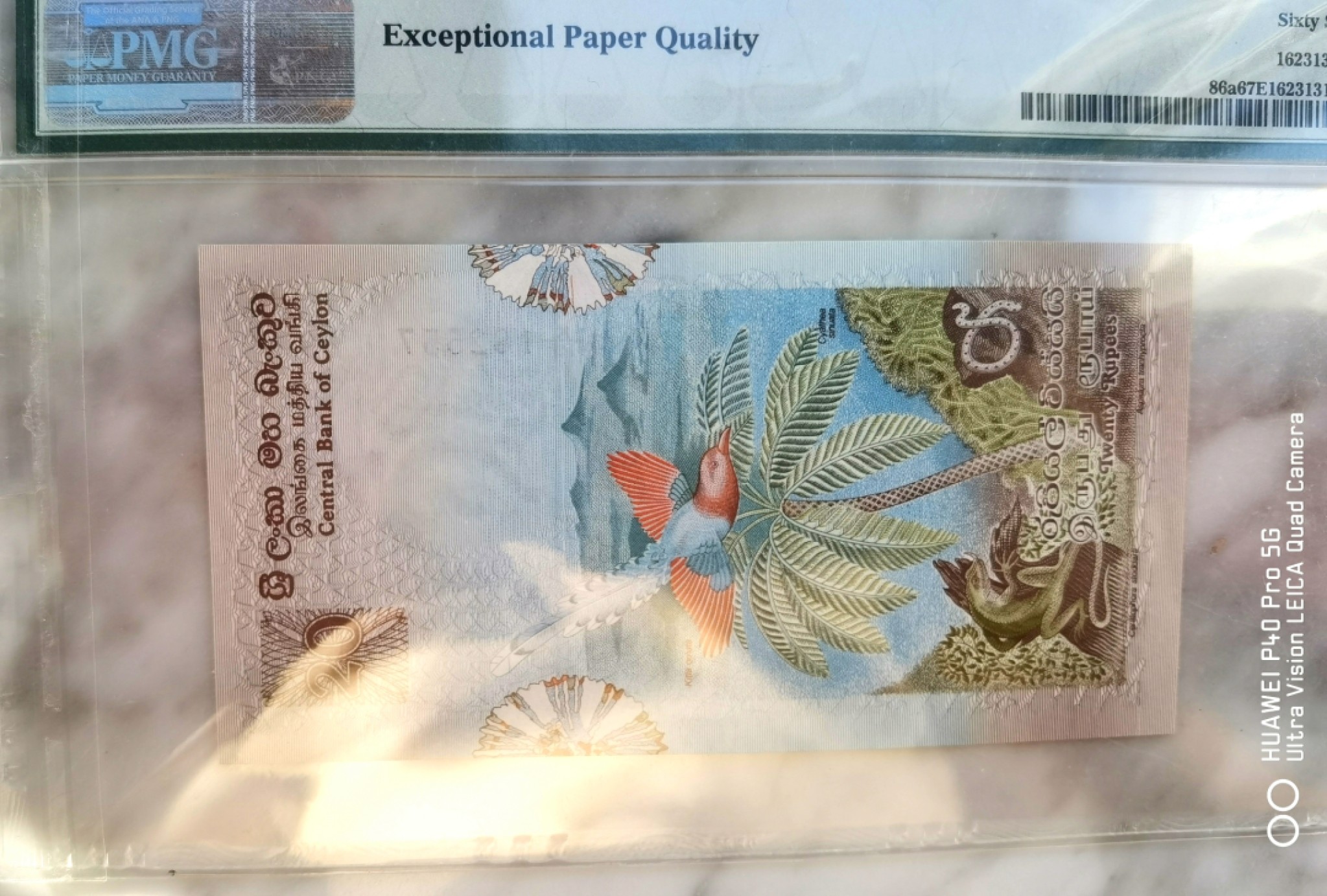  【Blue Auction】世界纸币精拍第187期——印度新金山渣打银行 （共90拍）  【一组6张全套 大金鸟为000豹子号】斯里兰卡 1979年 经典花鸟套 2-100卢比 均PMG67EPQ 高分