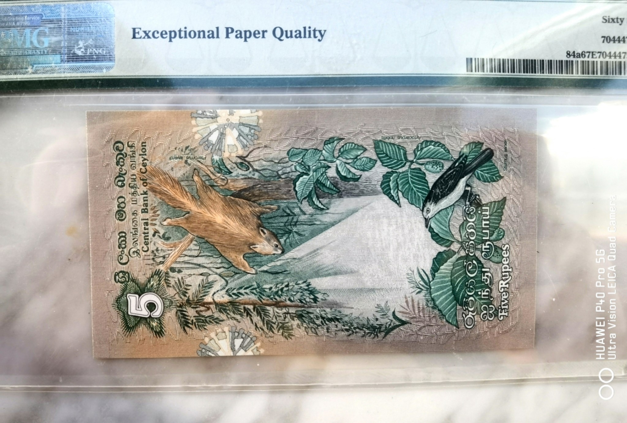  【Blue Auction】世界纸币精拍第187期——印度新金山渣打银行 （共90拍）  【一组6张全套 大金鸟为000豹子号】斯里兰卡 1979年 经典花鸟套 2-100卢比 均PMG67EPQ 高分