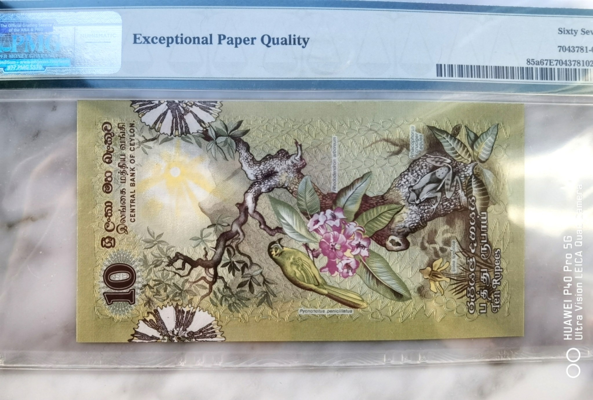  【Blue Auction】世界纸币精拍第187期——印度新金山渣打银行 （共90拍）  【一组6张全套 大金鸟为000豹子号】斯里兰卡 1979年 经典花鸟套 2-100卢比 均PMG67EPQ 高分