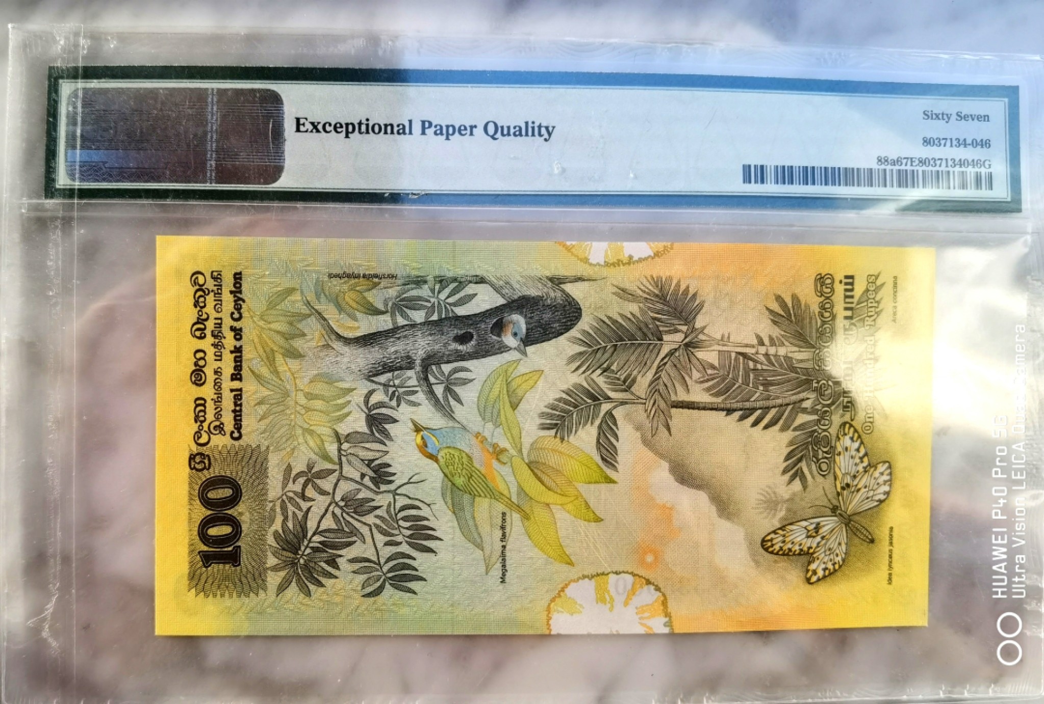  【Blue Auction】世界纸币精拍第187期——印度新金山渣打银行 （共90拍）  【一组6张全套 大金鸟为000豹子号】斯里兰卡 1979年 经典花鸟套 2-100卢比 均PMG67EPQ 高分