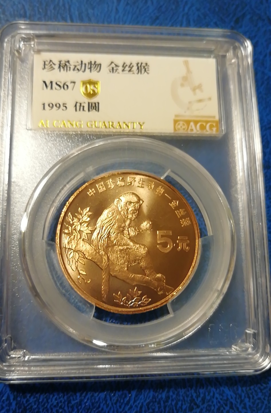 【华誉王者】2021期拍卖 珍稀动物大熊，金丝猴  爱藏0S金标，MS67高分两枚合拍。