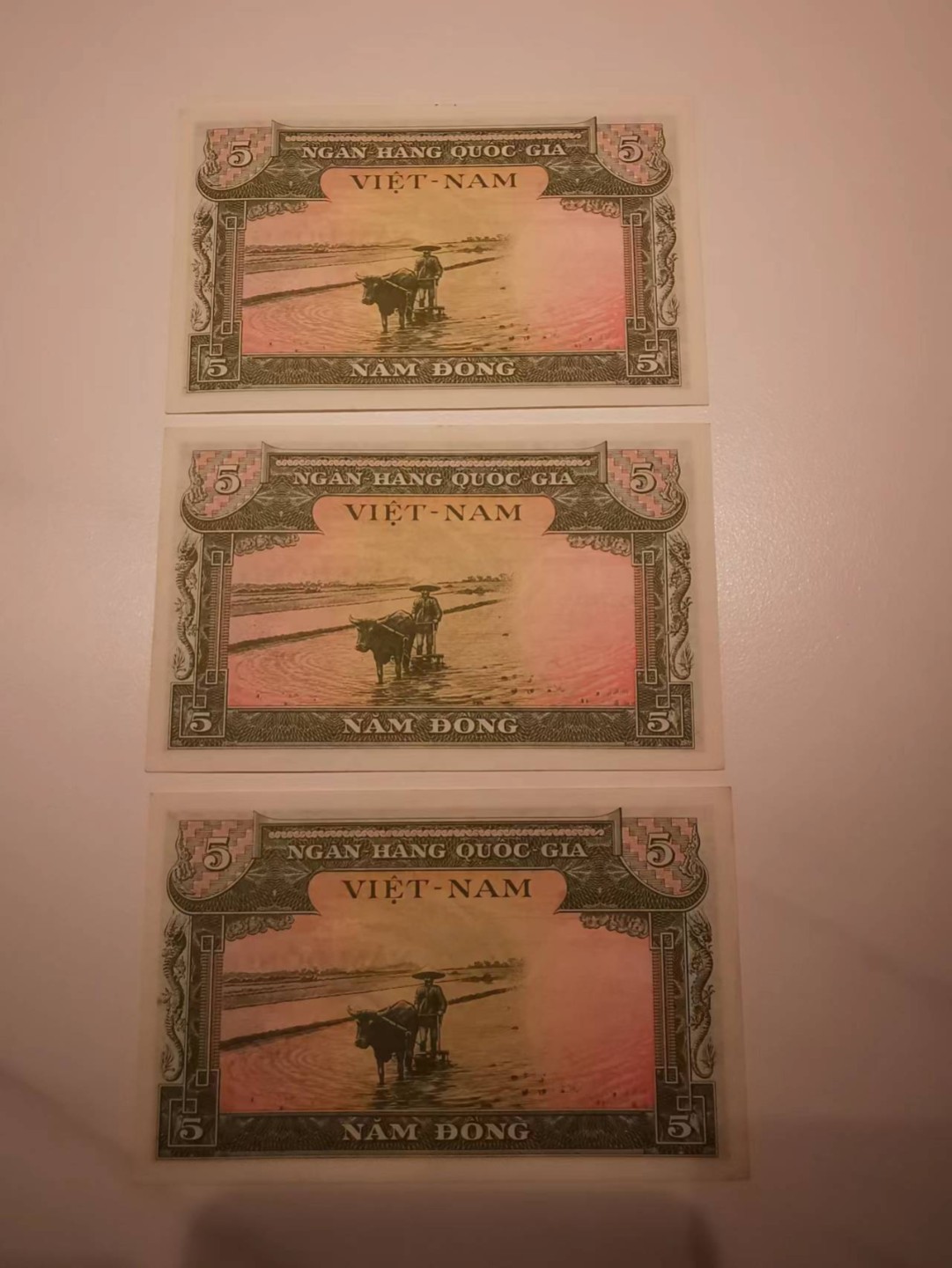 10.【鲸贝乐淘★道德经】“皆知善之为善，斯不善已”号拍卖 【越南🇻🇳】南越1955年5盾，三连号，龙凤呈祥，全新全品UNC，稀有品相