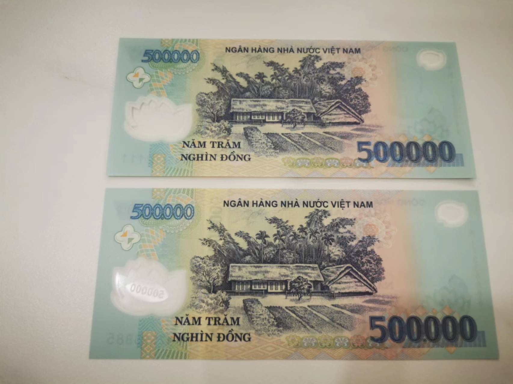 10.【鲸贝乐淘★道德经】“皆知善之为善，斯不善已”号拍卖 【越南🇻🇳】50万盾两张，全新全品UNC，111豹子号