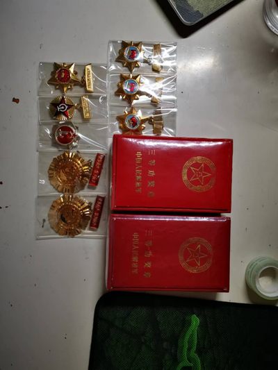 对越章系列 - 对越章系列