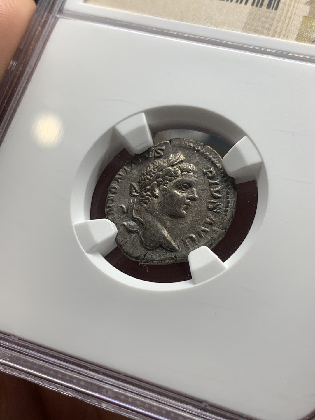 《竞宝斋》第63场-本周日 （全场不限金额包邮） NGC CH-XF4/4 卡拉卡拉皇帝 战神持矛与盾银第纳尔 难得品种，包浆表面状态很好且底板有原光，打制的也很不错，外拍同分表面爆洗，裸币拍到了138美元