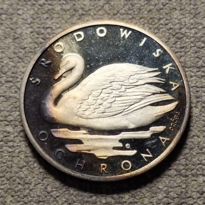 0起1加-纯粹捡漏拍-88场包邮 - 波兰1984年1000兹罗提天鹅Proba银样币-有氧化-量5700