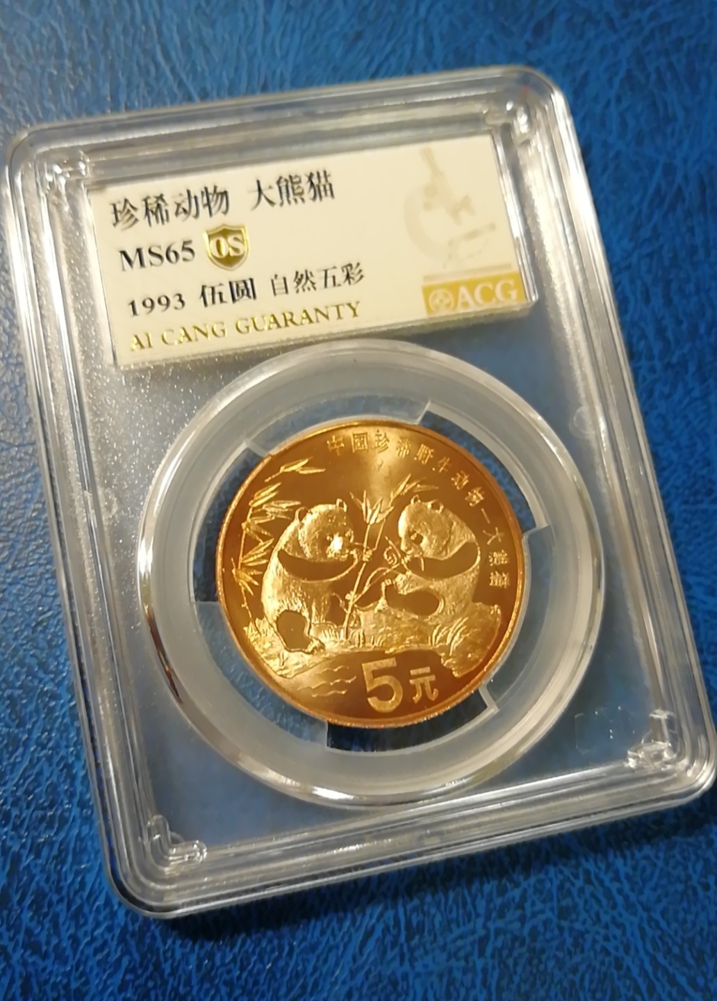 【华誉王者】2028期拍卖 珍稀动物大熊，爱藏0S金标自然五彩，MS65高分。