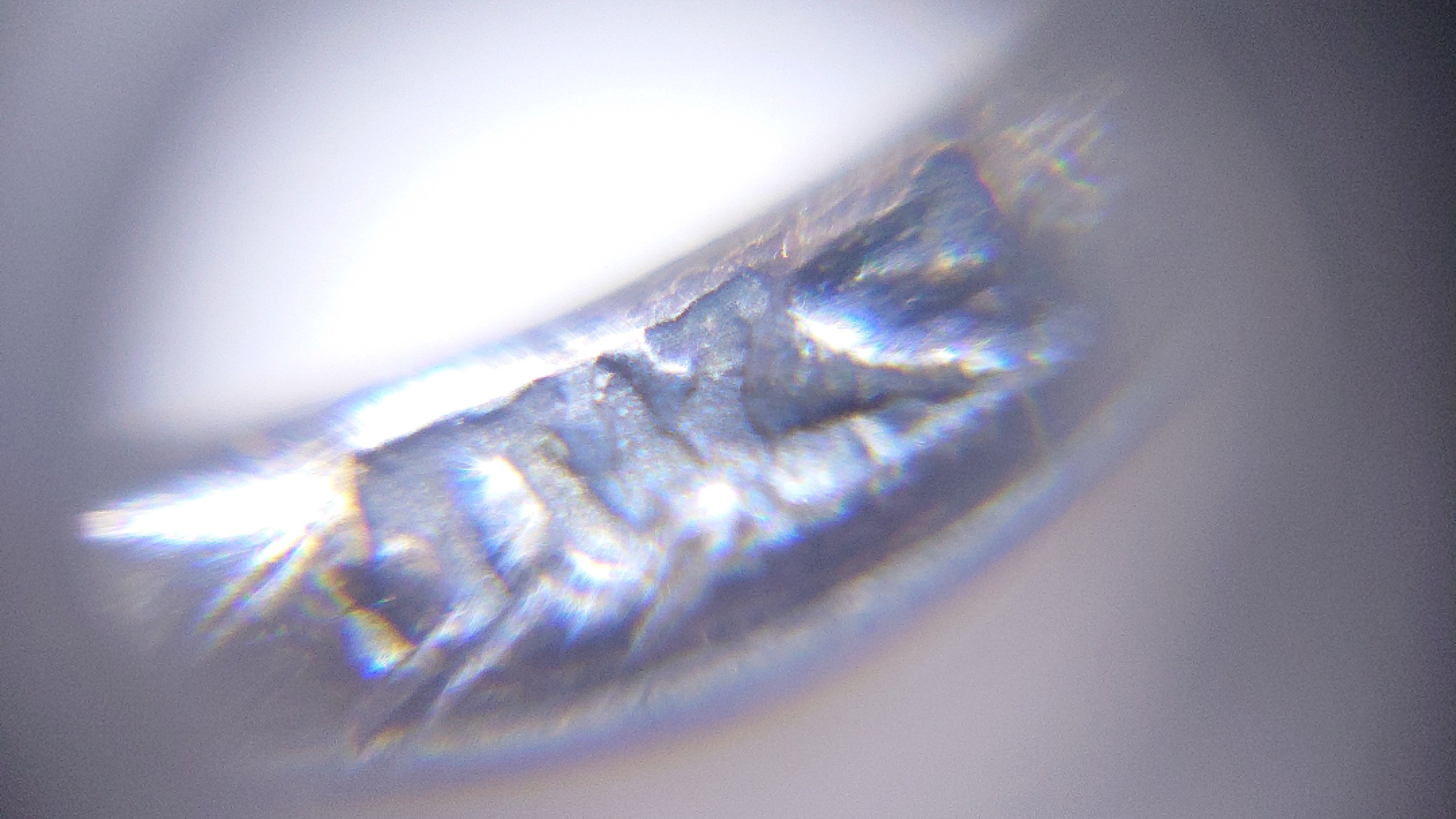 交易所6月11日群拍 德国一战二级铁十字勋章