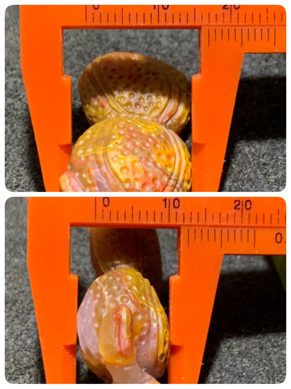 精美亚光高玉化战国红玛瑙花生吊坠一个，