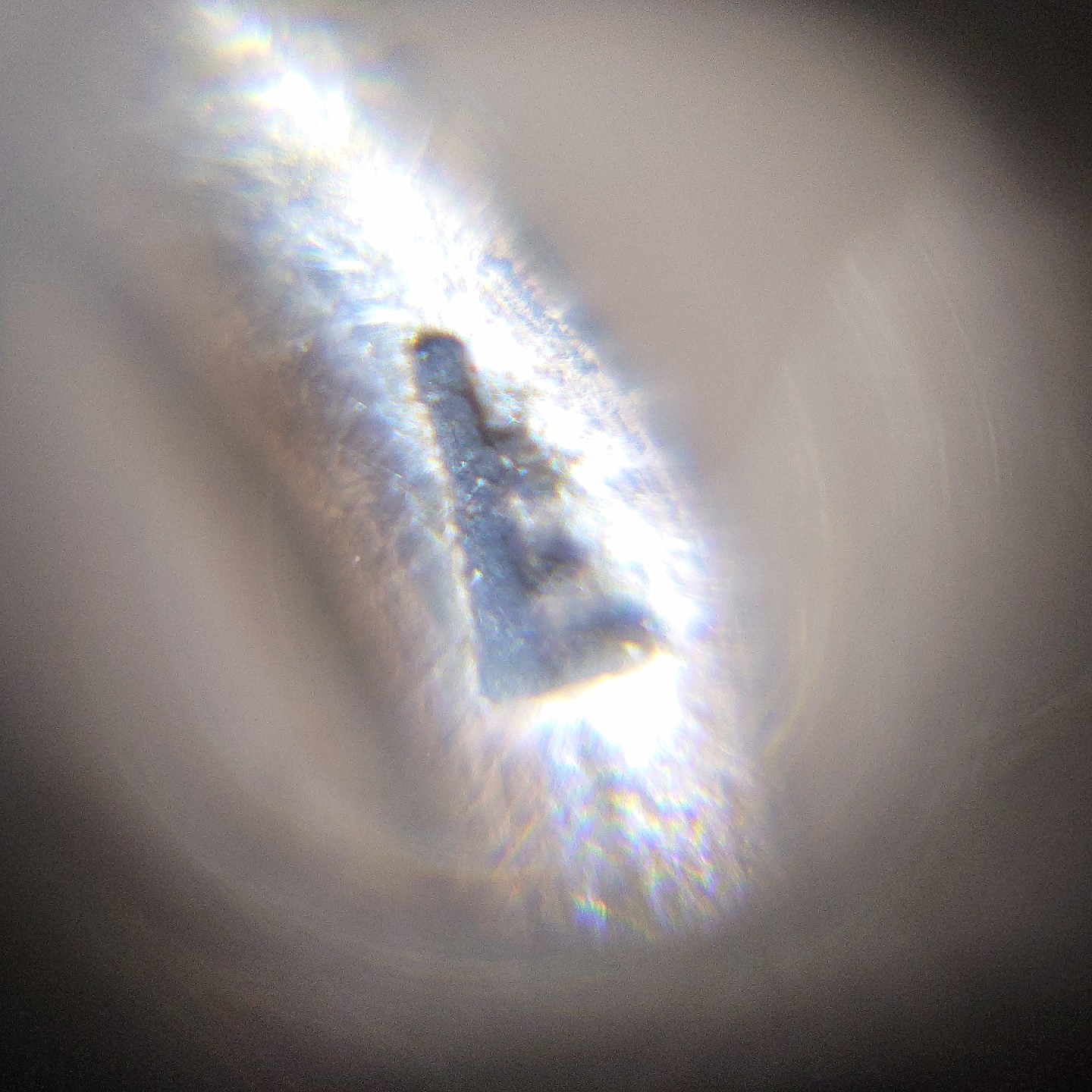 交易所6月11日群拍 德国一战二级铁十字勋章